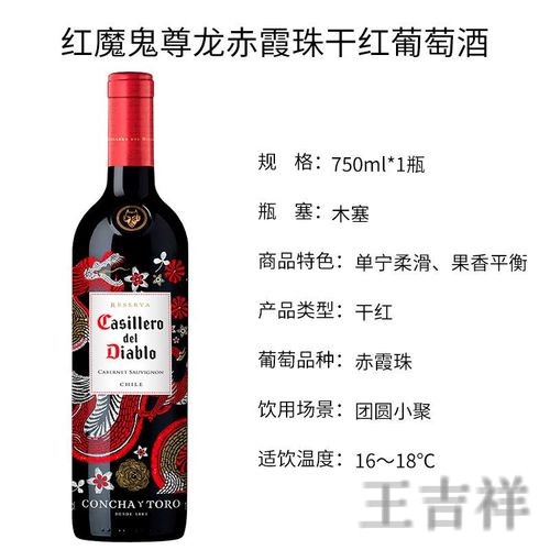 尊龙综合版官网入口与功能介绍指南